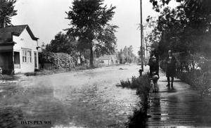 thumbnail of image