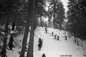 thumbnail of image