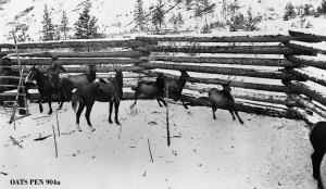 thumbnail of image