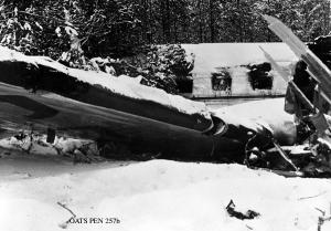 thumbnail of image
