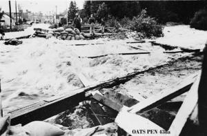 thumbnail of image