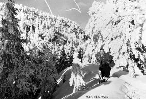 thumbnail of image