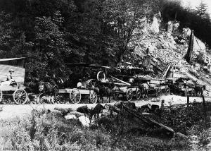 thumbnail of image