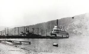thumbnail of image