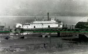 thumbnail of image