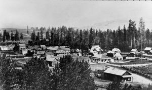 thumbnail of image