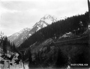 thumbnail of image