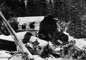 thumbnail of image