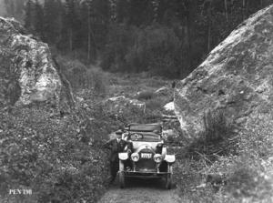 thumbnail of image