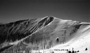 thumbnail of image