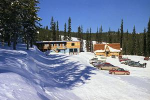 thumbnail of image