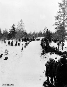 thumbnail of image