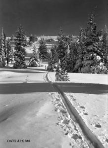 thumbnail of image