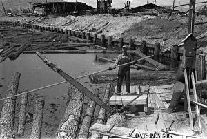 thumbnail of image