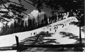 thumbnail of image