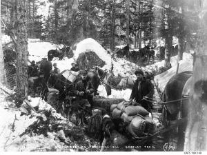 thumbnail of image