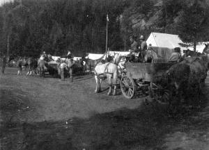 thumbnail of image