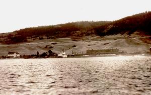 thumbnail of image