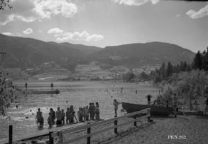 thumbnail of image