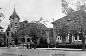 thumbnail of image