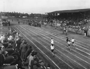 thumbnail of image