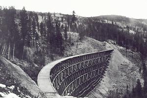 thumbnail of image