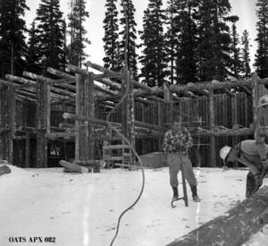 thumbnail of image