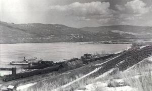 thumbnail of image