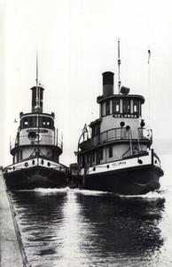 thumbnail of image