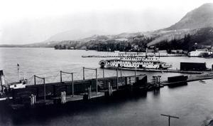 thumbnail of image