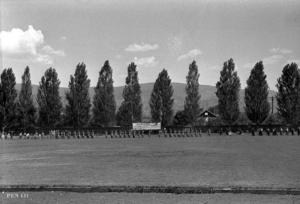 thumbnail of image