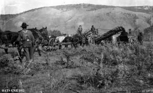 thumbnail of image