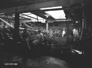 thumbnail of image