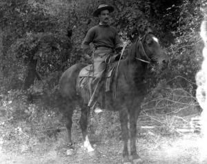 thumbnail of image