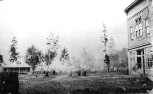 thumbnail of image