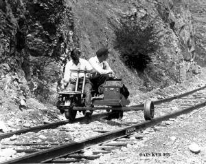 thumbnail of image