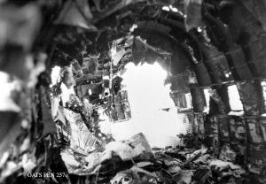 thumbnail of image