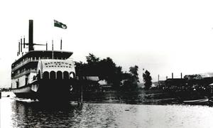 thumbnail of image