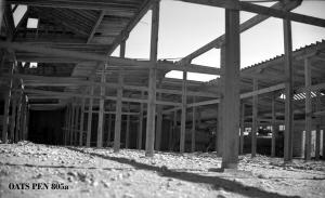thumbnail of image