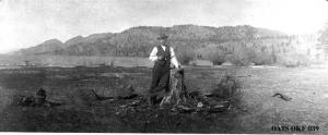 thumbnail of image