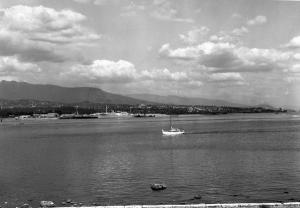 thumbnail of image