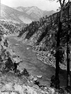 thumbnail of image