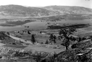 thumbnail of image