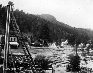 thumbnail of image
