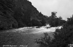 thumbnail of image