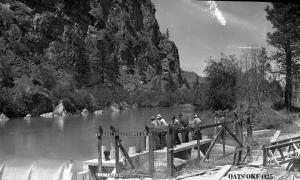 thumbnail of image