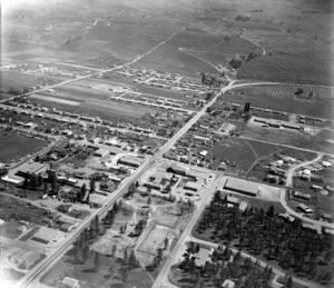 thumbnail of image