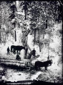 thumbnail of image