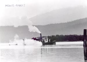 thumbnail of image