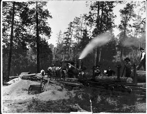 thumbnail of image